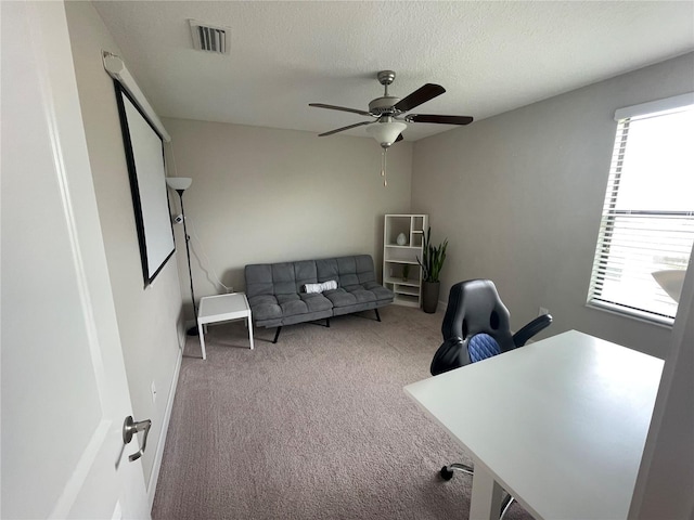 1596 Ludington Ave, Wesley Chapel, FL 33543 - home office with carpet flooring, healthy amount of natural light, ceiling fan, and a textured ceiling