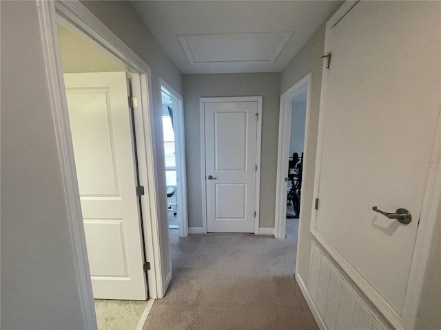 1596 Ludington Ave, Wesley Chapel, FL 33543 - hall with light colored carpet and baseboards