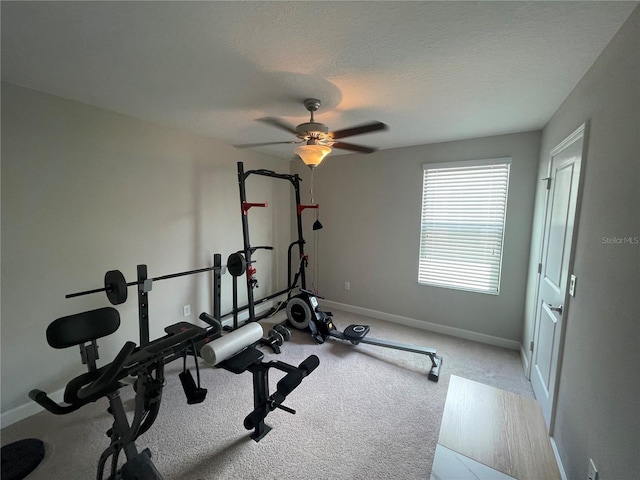 1596 Ludington Ave, Wesley Chapel, FL 33543 - exercise area with a ceiling fan and carpet floors