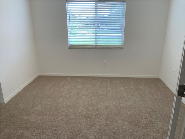 5154 Balsam Dr, Land O Lakes, FL 34639 - photo 11