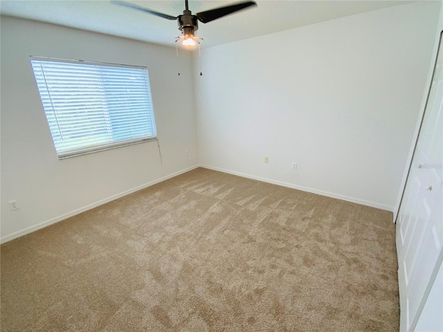 5154 Balsam Dr, Land O Lakes, FL 34639 - photo 12