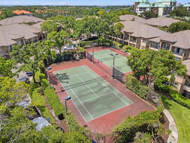 664 Arbor Lake Ln Unit 664, Tampa, FL 33602 - photo 34