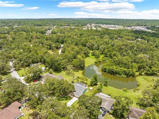 1271 Candlelight Blvd, Brooksville, FL 34601 - photo 64