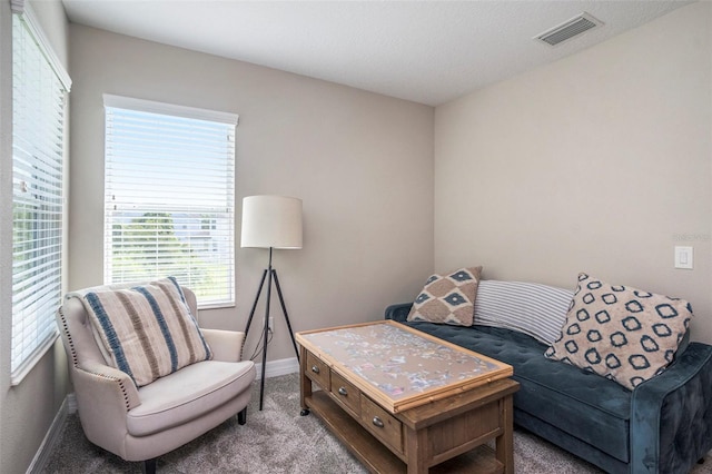 4329 Vermillion Sky Dr, Wesley Chapel, FL 33544 - photo 20