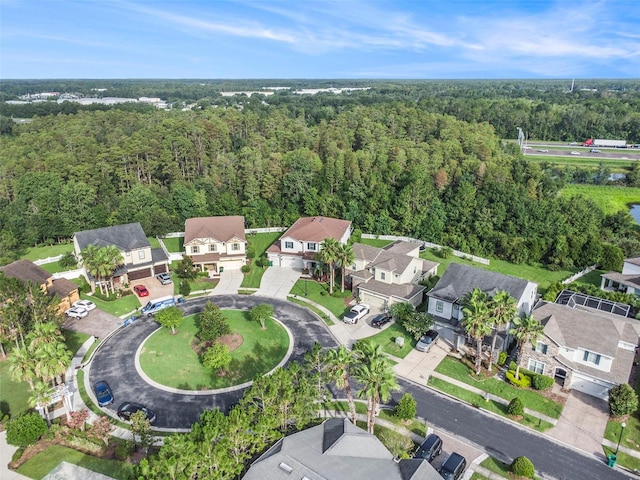 4329 Vermillion Sky Dr, Wesley Chapel, FL 33544 - photo 48