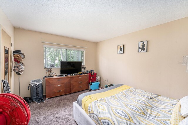 2003 Greenbriar Blvd Unit 15, Clearwater, FL 33763 - photo 11