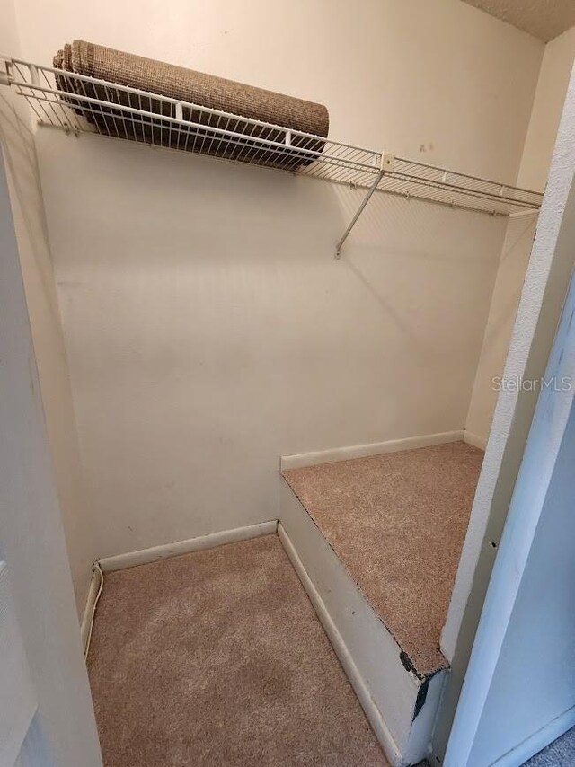 6620 121st Ave Unit 1, Largo, FL 33773 - walk in closet with carpet floors