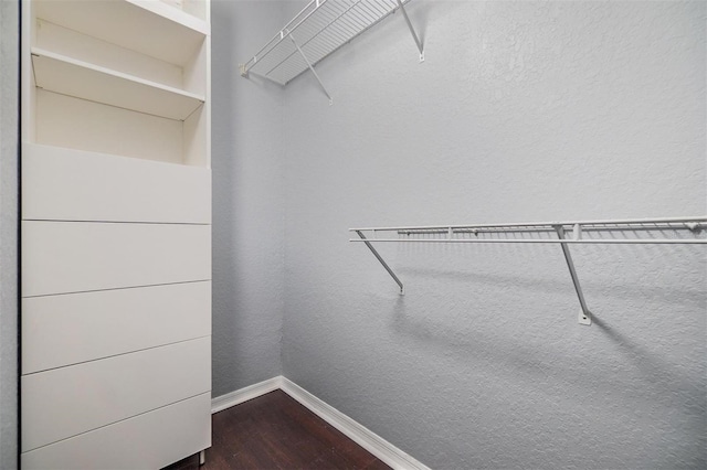 501 S Moody Ave Unit 1134, Tampa, FL 33609 - walk in closet featuring dark wood-style flooring