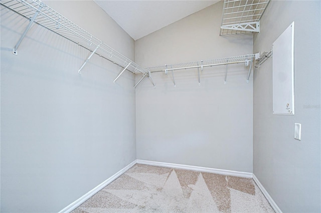 15126 Shearcrest Dr, Lithia, FL 33547 - photo 16