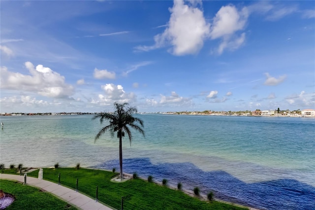 6105 Bahia Del Mar Cir Unit 388, Saint Petersburg, FL 33715 - water view