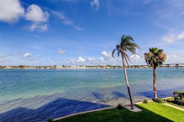 6105 Bahia Del Mar Cir Unit 388, Saint Petersburg, FL 33715 - water view