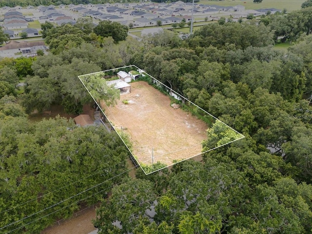 2145 Helwyn Rd, Auburndale, FL 33823