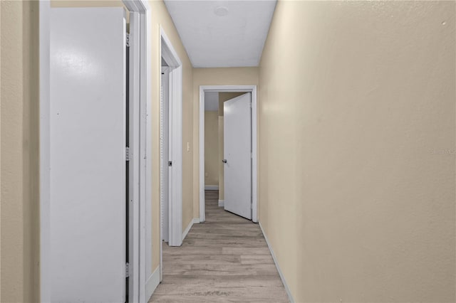 523 Northride Trl, Lakeland, FL 33813 - corridor with light wood-style flooring and baseboards