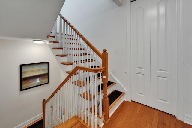 6412 Mayra Shores Ln, Apollo Beach, FL 33572 - stairway with wood finished floors and baseboards