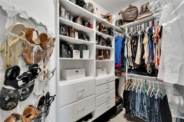 6412 Mayra Shores Ln, Apollo Beach, FL 33572 - view of spacious closet