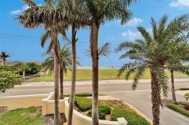 6412 Mayra Shores Ln, Apollo Beach, FL 33572 - view of yard