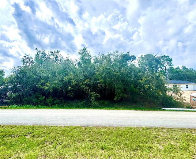 SW 73rd Ln, Dunnellon, FL 34432 - photo 11