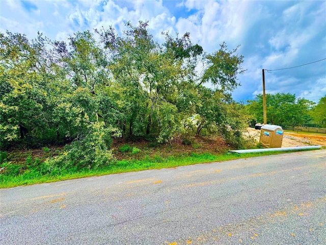 SW 73rd Ln, Dunnellon, FL 34432 - photo 12