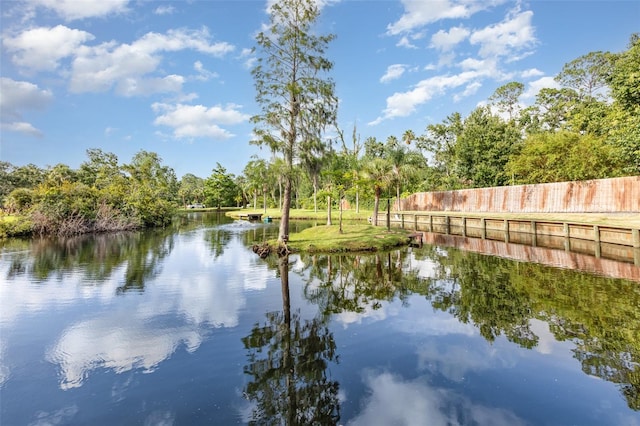 3615 Walden Pond Dr, Sarasota, FL 34240 - photo 39