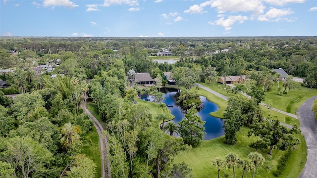 3615 Walden Pond Dr, Sarasota, FL 34240 - photo 45