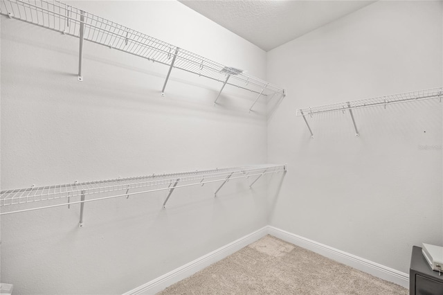 3236 19th St N, Saint Petersburg, FL 33713 - photo 29