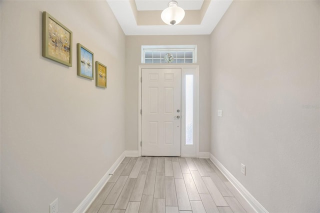 18125 Roseate Dr, Lutz, FL 33558 - foyer entrance with plenty of natural light and light wood-type flooring