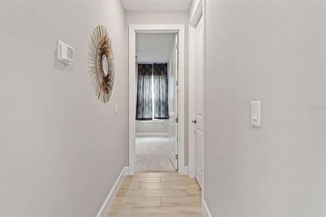 4520 Freccia Loop, Wesley Chapel, FL 33543