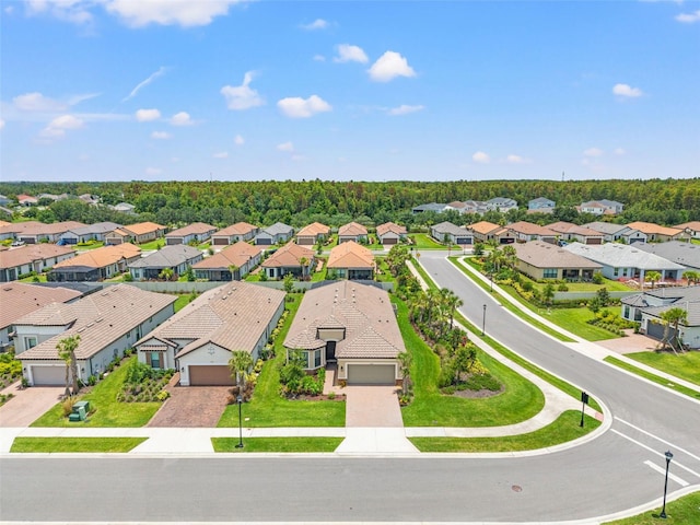 4520 Freccia Loop, Wesley Chapel, FL 33543
