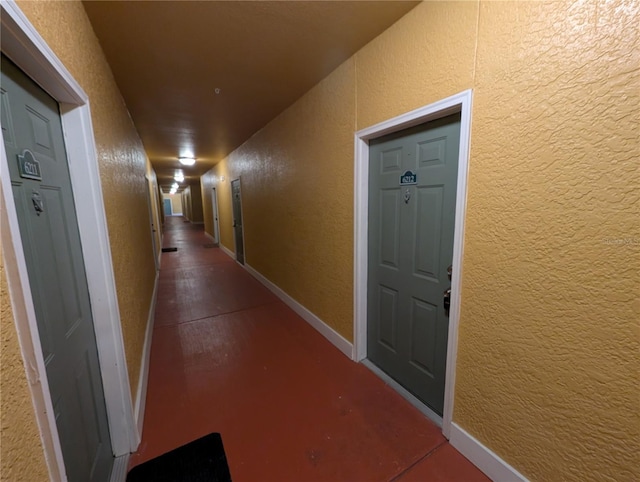 4207 S Dale Mabry Hwy Unit 6212, Tampa, FL 33611 - photo 3