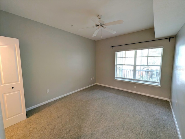 4207 S Dale Mabry Hwy Unit 6212, Tampa, FL 33611 - photo 14