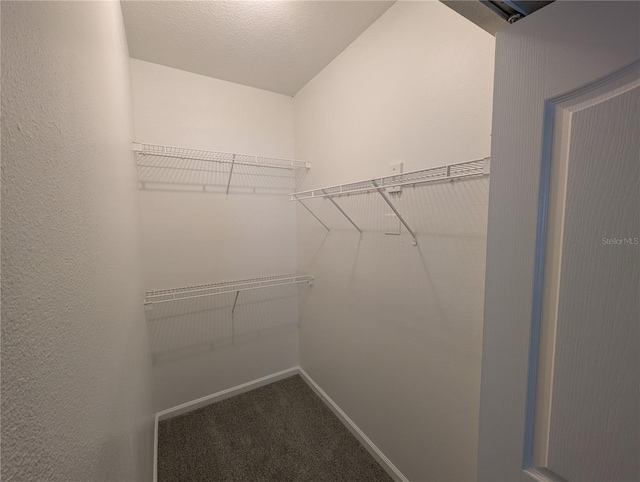 4207 S Dale Mabry Hwy Unit 6212, Tampa, FL 33611 - photo 16