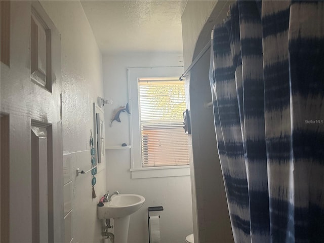 2905 W Chestnut St, Tampa, FL 33607 - photo 8