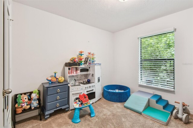 1715 Chatham Green Cir, Ruskin, FL 33570 - photo 25