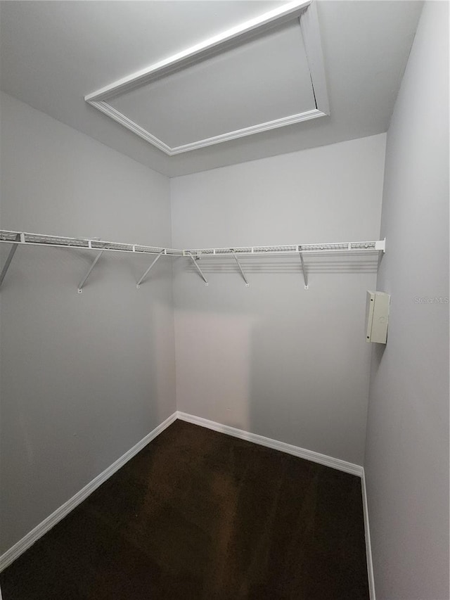 3407 E Comanche Ave, Tampa, FL 33610 - walk in closet with attic access