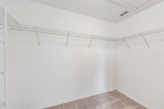 12039 Greengate Dr, Hudson, FL 34669 - spacious closet with light carpet