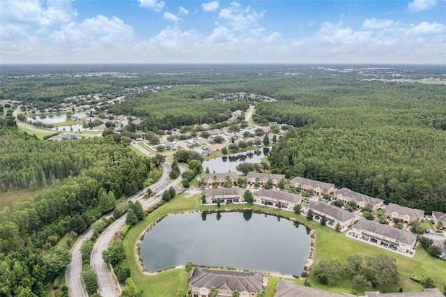 12039 Greengate Dr, Hudson, FL 34669 - aerial perspective of suburban area featuring a heavily wooded area and a large body of water