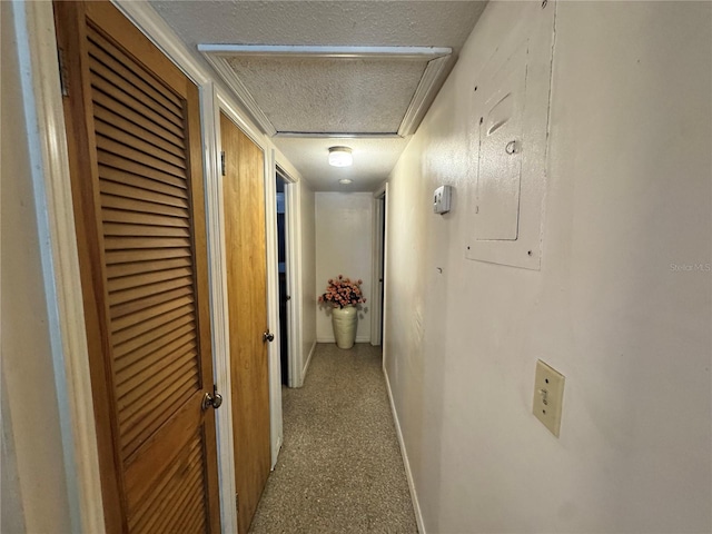 5901 N 34th St, Tampa, FL 33610 - photo 10