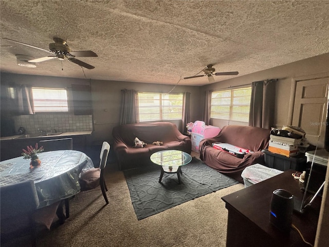 5901 N 34th St, Tampa, FL 33610 - photo 20
