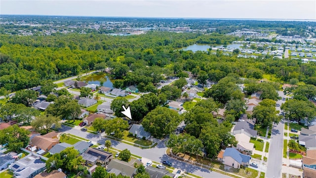 5116 Plantation Dr, Holiday, FL 34690 - photo 32