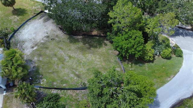 4725 Trade Winds Dr S, Gulfport, FL 33711 - photo 6