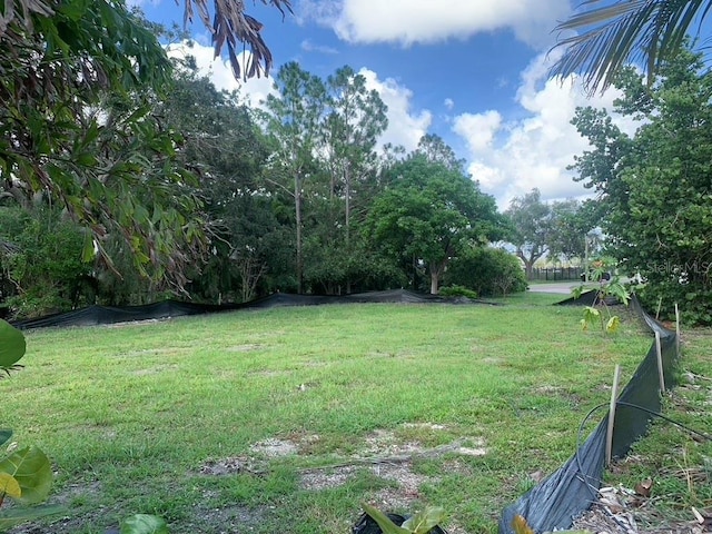 4725 Trade Winds Dr S, Gulfport, FL 33711 - photo 22