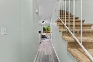 12336 Villager Ct, Tampa, FL 33625 - photo 4