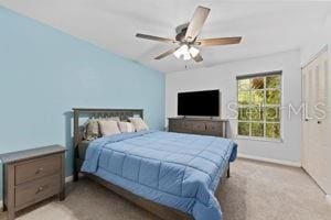 12336 Villager Ct, Tampa, FL 33625 - photo 11