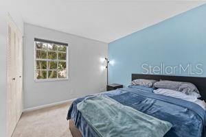 12336 Villager Ct, Tampa, FL 33625 - photo 14