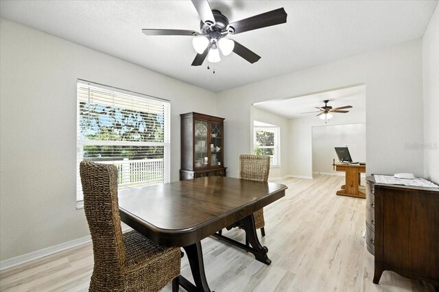 11301 Donneymoor Dr, Riverview, FL 33569 - photo 15