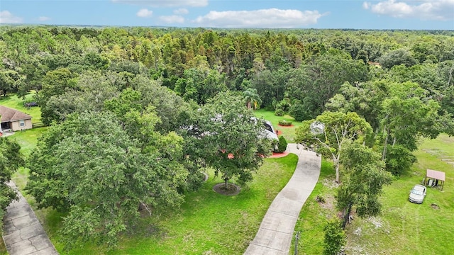 10537 Smokie Creek Ln, Lakeland, FL 33809 - photo 52