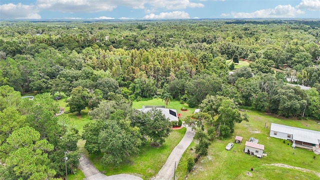 10537 Smokie Creek Ln, Lakeland, FL 33809 - photo 53