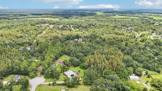 10537 Smokie Creek Ln, Lakeland, FL 33809 - photo 55