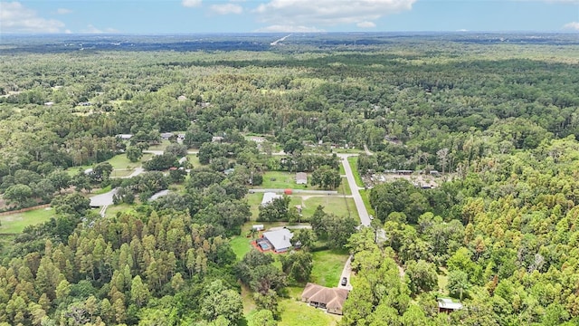 10537 Smokie Creek Ln, Lakeland, FL 33809 - photo 56