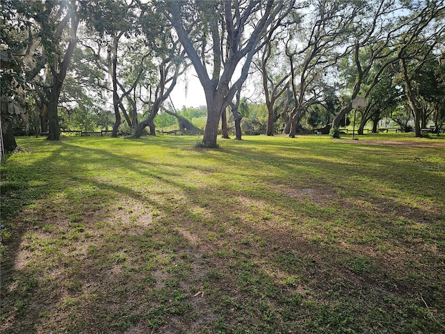 10909 Marjory Ave, Tampa, FL 33612 - photo 2